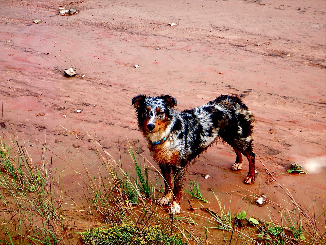 sunray's high desert lazuli